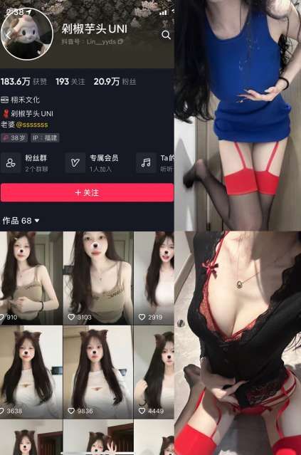 图片[1]-剁椒芋头UNI 8套合集下载-[152MB]-十六楼