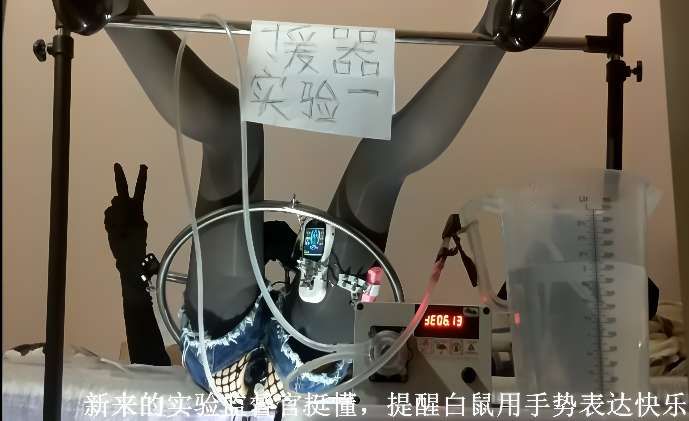 图片[2]-援器学会 合集下载-[10V-9.11G]-十六楼